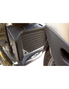 Protezione radiatore per...
